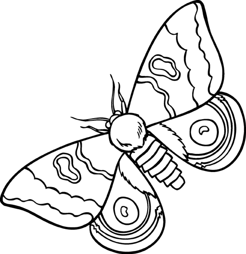 moth prevention potpourri