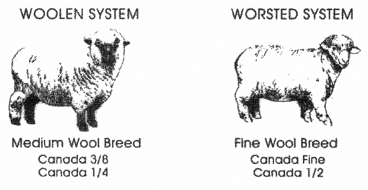 History of wool in Canada | Canadian Co-operative Wool Growers Limited